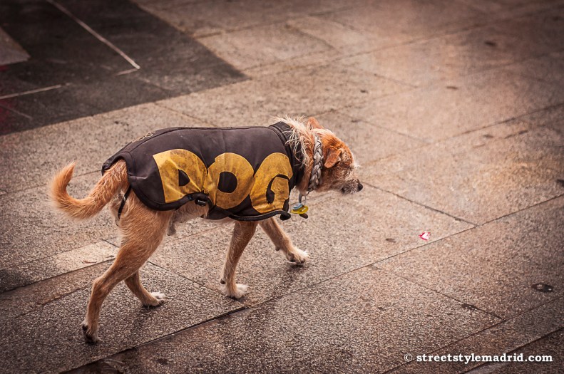 Yo también voy a la moda