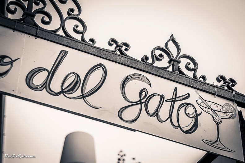 140523-DSC_9281 Flickr